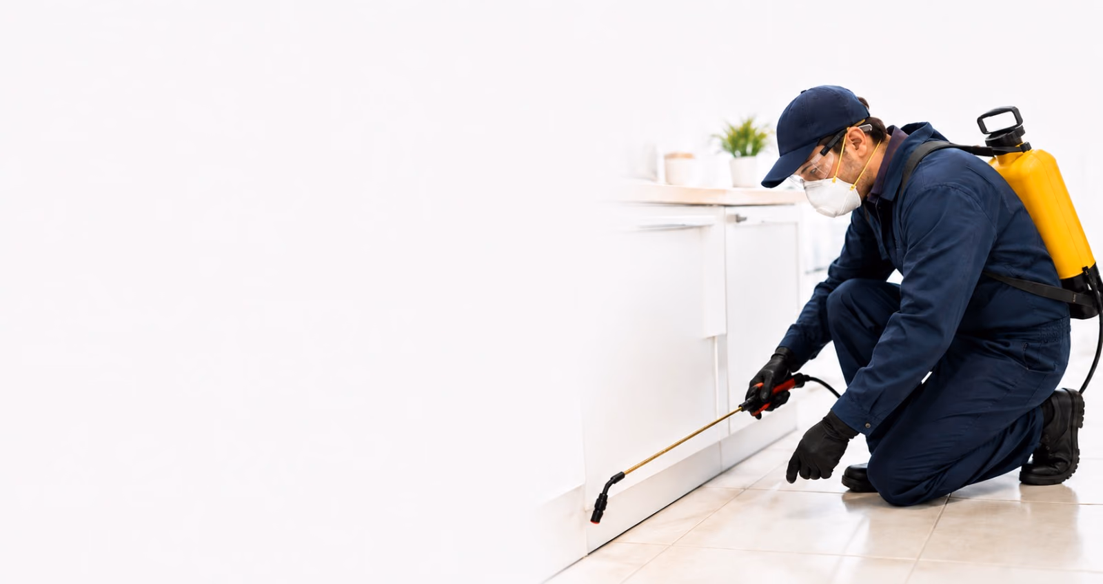 Pest Control & Preventive Pest Management